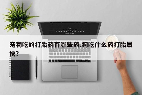 打胎药在线购买方式宠物吃的打胎药有哪些药.狗吃什么药打胎最快？